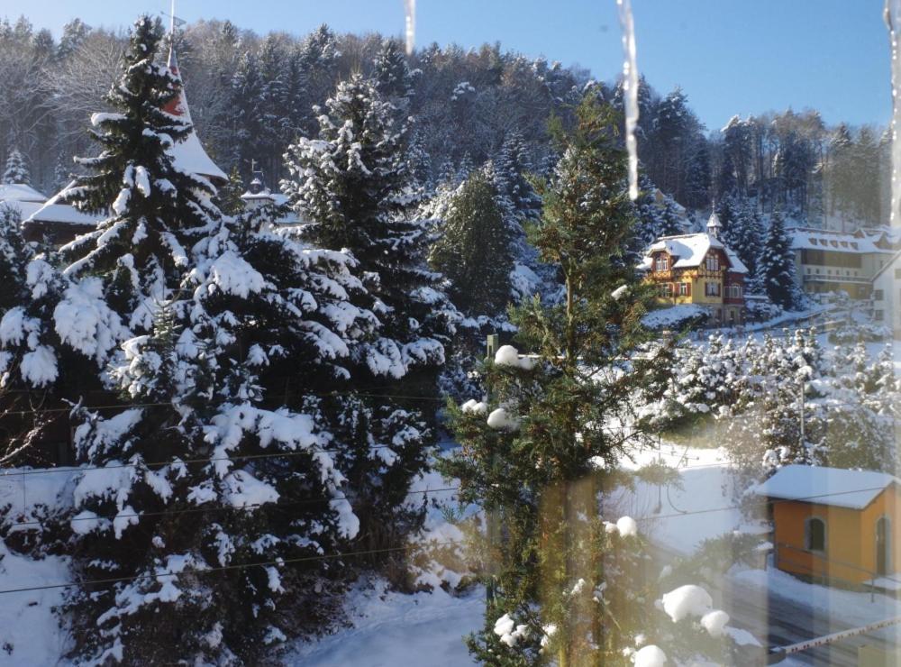 Elbresort Kurort Rathen Exterior foto